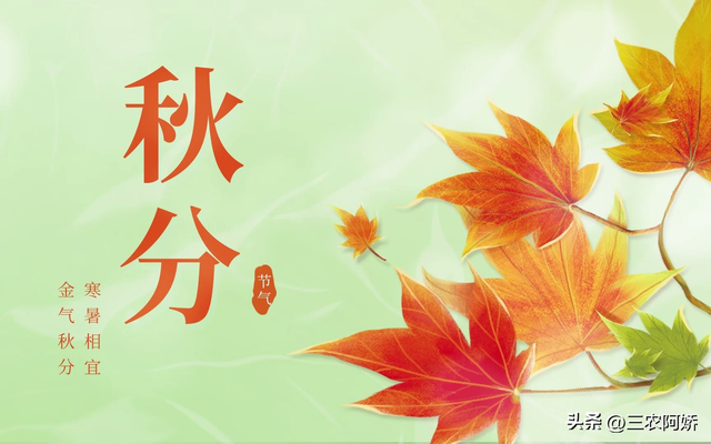 23日秋分，“秋分逢单 冬天暖；秋分逢双 冬天凉”，今年秋分在哪？