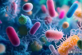 一个能独立生存，一个离开宿主就消亡，细菌和病毒哪个更可怕？图片