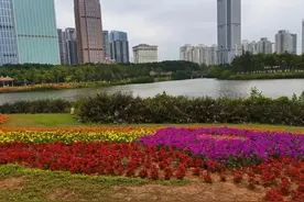 说说含“自”字的成语大世界图片