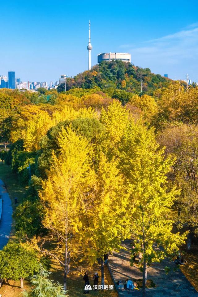 限时绝美！汉阳全城颜值巅峰，零换乘直达