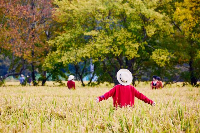 皖南塔川秋韵，正是从水墨到油画的季节，邂逅一场徽州的色彩盛宴