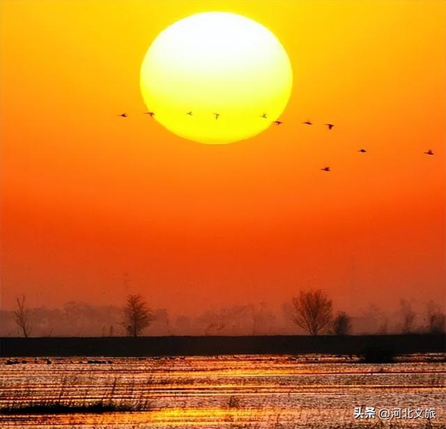 看杂技、吃美食、游运河、赏风景……沧州，远比你想象得更精彩