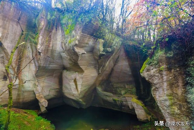 国家级“天然氧吧”，马上冲！