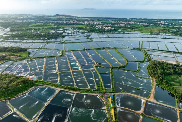 国内适合一个人去散心的6个海滨城市，我去过3个，你去过几个？