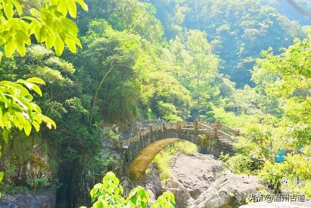 温州这个亲子游玩胜地、植物自然课堂孩子玩嗨家长不累