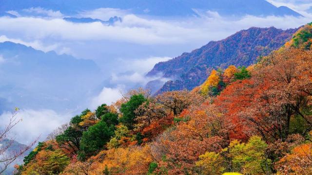 周末秋游石门栈道、黎坪、龙头山、兴汉胜境两天一晚深度游上线！
