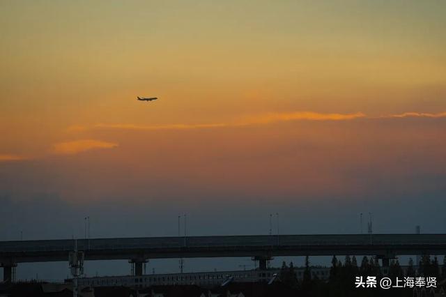 奉贤的秋天，才是上海隐藏的“顶流”！