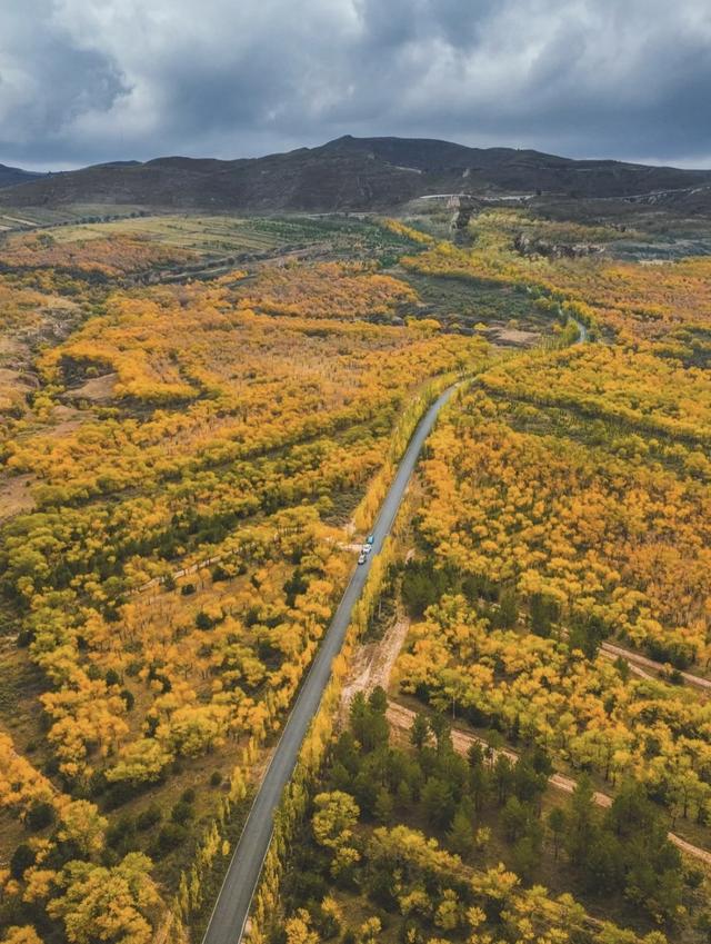 这座塞北小城，藏着长城脚下最美的秋日盛景，邀你共赴浪漫之约~