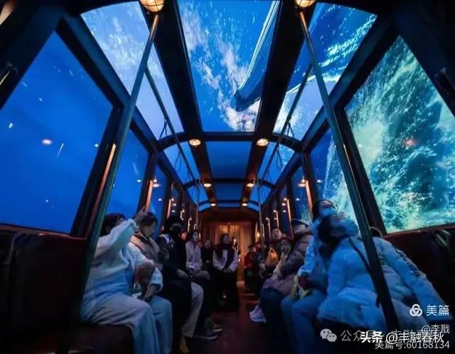 登上“时光列车”，青岛4D数字电车带你穿越山海与岁月