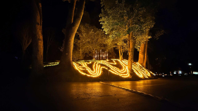 光影为径，南华寺新春灯会年初八启幕