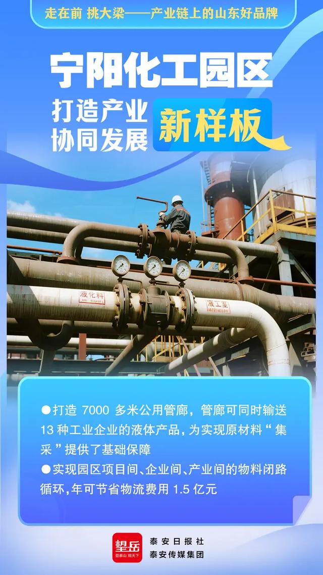 走在前 挑大梁——产业链上的山东好品牌丨望岳AI海报·宁阳化工园区打造产业协同发展新样板