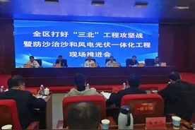 今年已完成604万亩 内蒙古防沙治沙再发力图片
