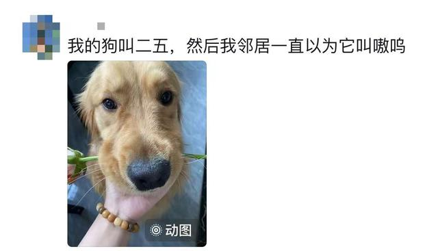 原来宠物在外都有别的名字啊！养宠物的朋友们，你们都知道吗？