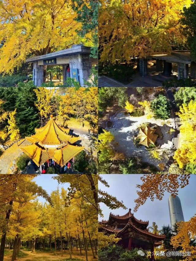 大连最美的15个秋天打卡地，看看去过几个