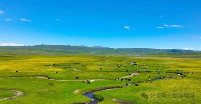 让心灵在圣境中深度旅行——甘南文旅融合发展综述