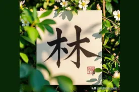 中华姓氏探秘: 林图片