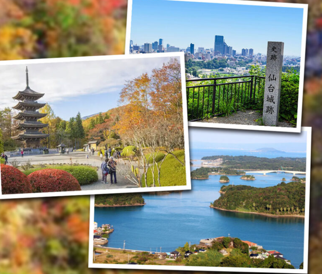 日本仙台之行感受深