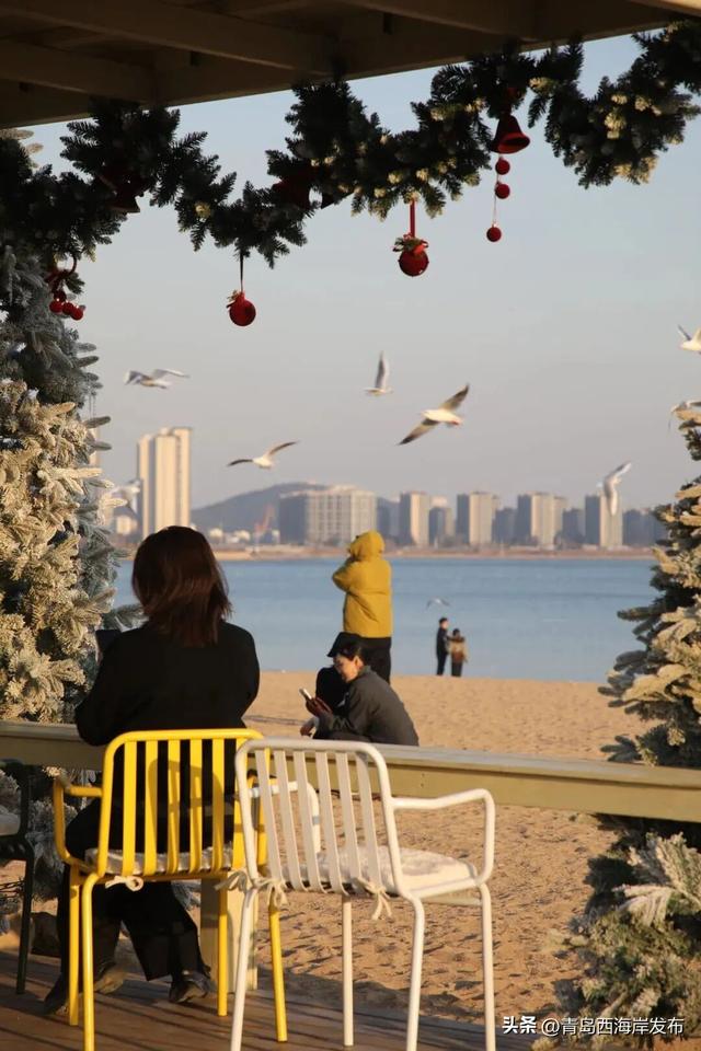 “鸥”耶！西海岸来了一批“老朋友”！