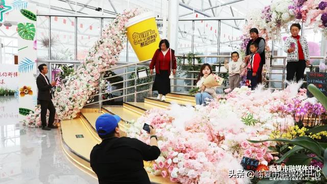 来打卡了吗？临夏市花卉艺术中心人气爆棚，“芬芳馥郁”的文化盛宴引领假期潮流～