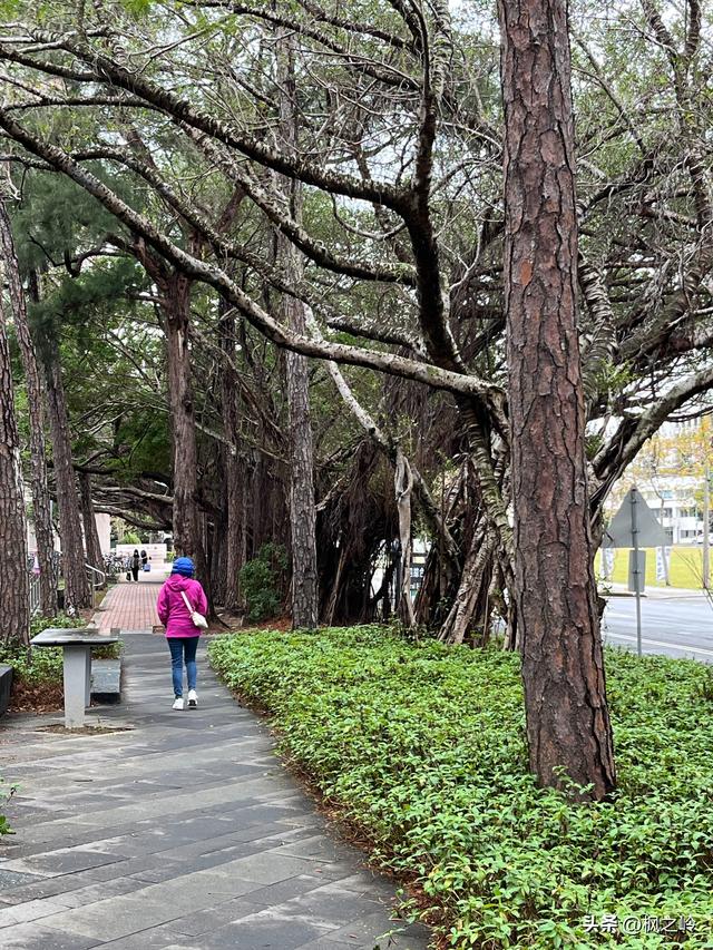 台湾游记：新竹「清华大学」印象
