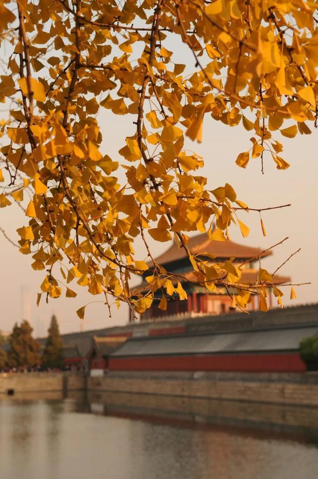 北京之秋便是天堂