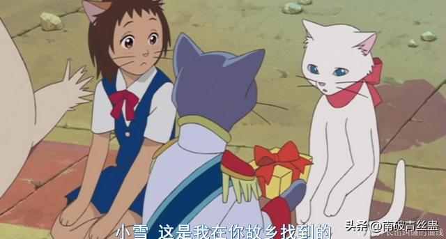 电影《猫的报恩》：在猫咪王国奇幻冒险，寻找真正的自我