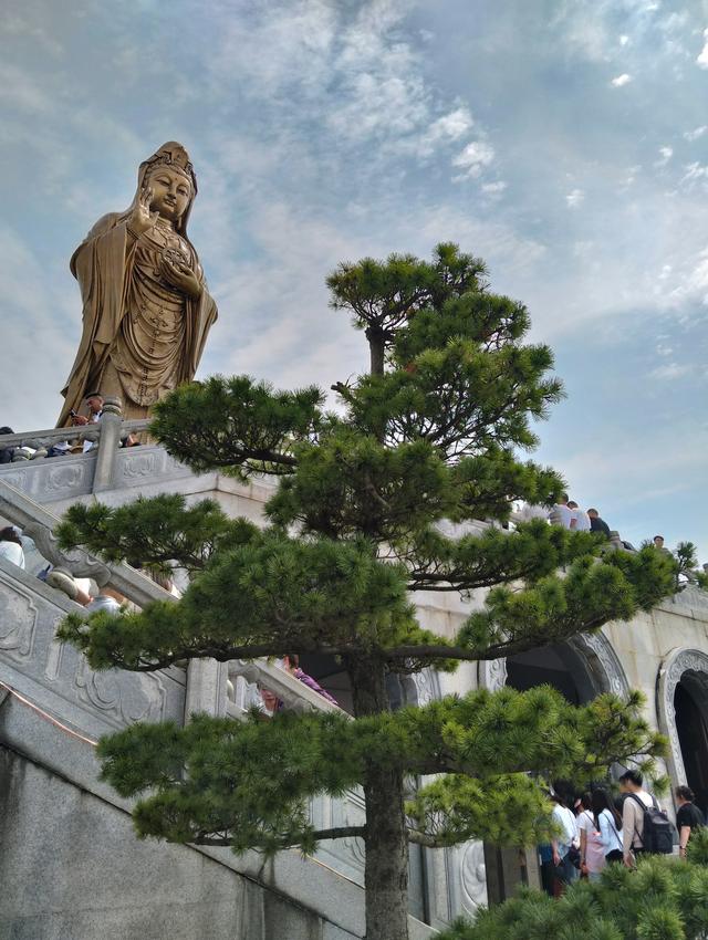 奔赴普陀山，开启一场触动灵魂的心灵奇旅！