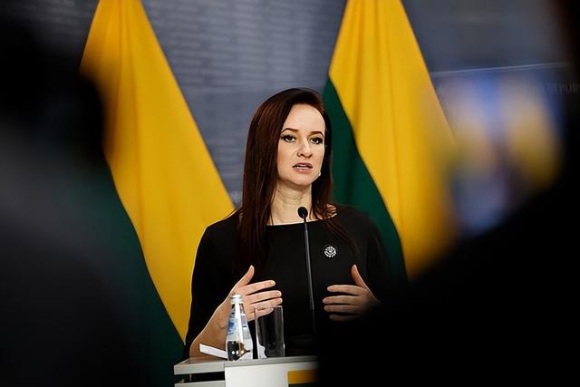 立陶宛进口恢复，欧盟后退一步，撤回对华贸易申诉	，中方斩钉截铁