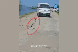 洞庭湖决堤前画面曝光:裂口早已出现，决堤口慢慢变大，网友热议图片