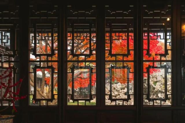 苏州园林秋色拍照攻略！这几个机位包出大片！