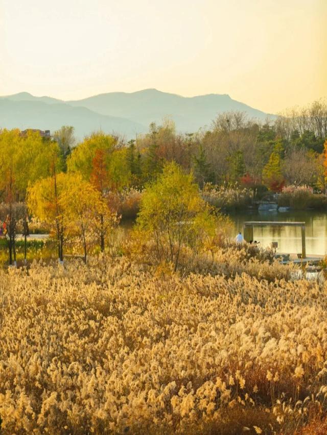 烟台秋日绝色盛宴筹备中，走！寻秋去！