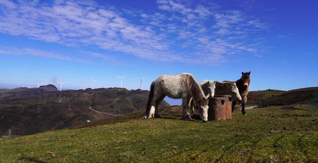 乌蒙大草原：邂逅静谧诗意的云端仙境