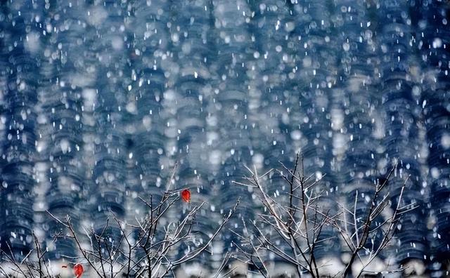 降温+雨夹雪！陇南最新天气→