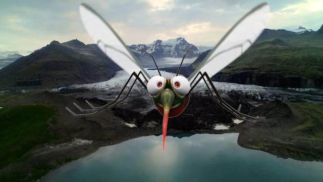 冰岛首度发现蚊子 "世界净土"沦陷了？！然而这个国家真的很美好啊