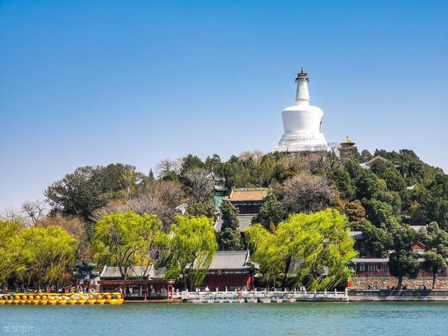 从北到南 “每一片叶子都是一朵鲜花”