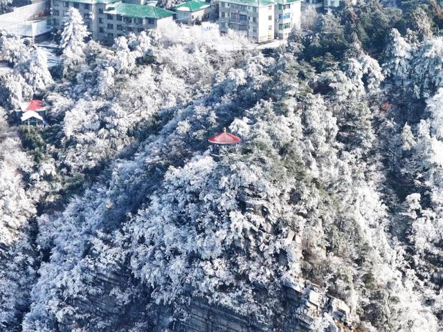 庐山“白里透红”：夕阳映红牯岭雾凇