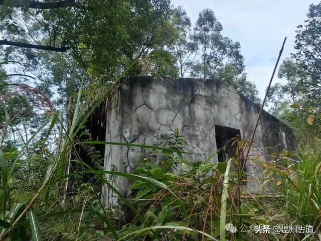 这处以玻璃栈道、落日观景和悬崖木亭而闻名的网红地，你可去过
