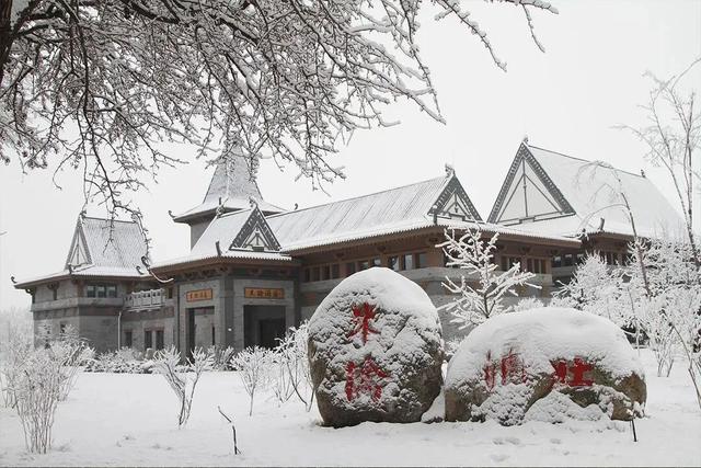 塞上江南 颐养宁夏丨银川篇：漫游湖城享自然，邂逅闽宁“山海情”