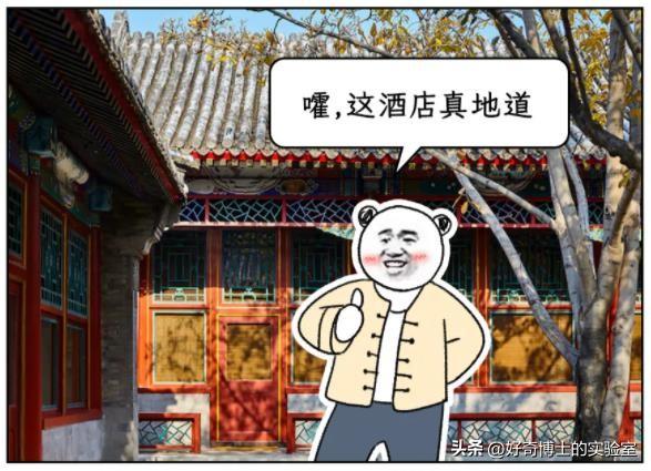 从一星级、二星级，到五星级、七星级酒店，究竟有啥区别？