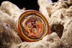 传说中的神奇宝物——“凤凰石”图片