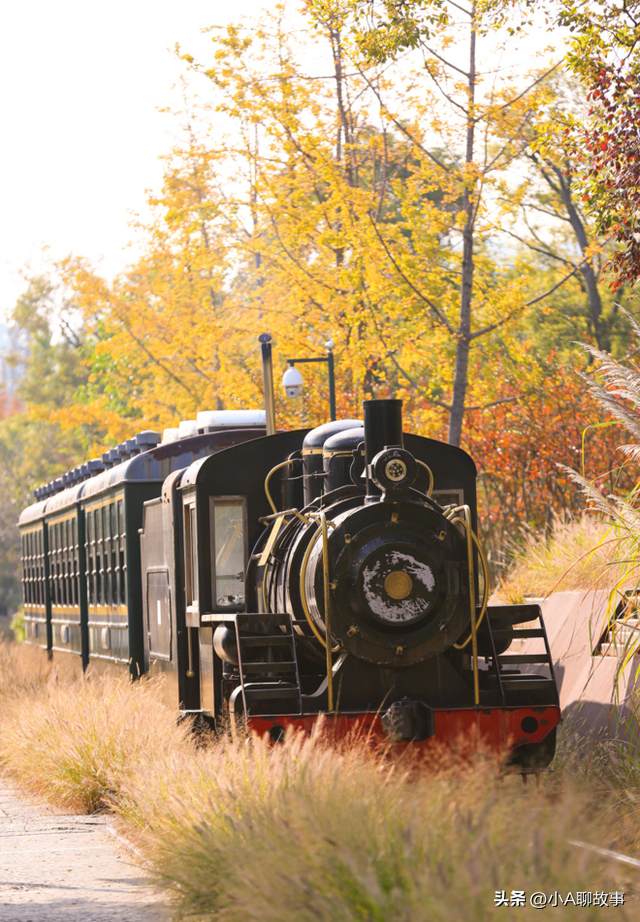 又一5A景区官宣永久免费！年入数亿，关键是秋天美到词穷！