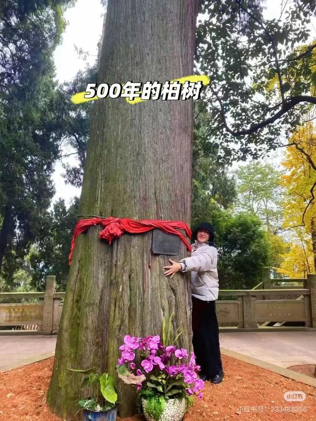当天来回！新挖成都1H冷门徒步线，古道遛娃秘境吸氧！7元炫爽地道美食！