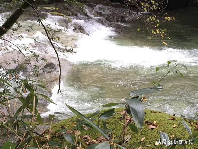 冒雨行驶八百里，却踩坑米仓山，与最美红叶失之交臂，抱憾而归