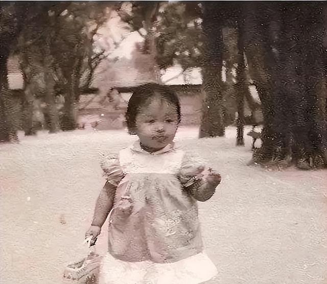 侵吞善款，贪污上亿？被实名举报后，53岁的韩红坐把椅子都成了错