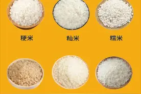 中医推荐的夏季养胃良药：粳米汤全面指南图片