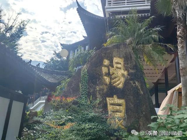 一树金黄，满城风雅！温州这棵著名的古寺银杏再不去就要落叶了