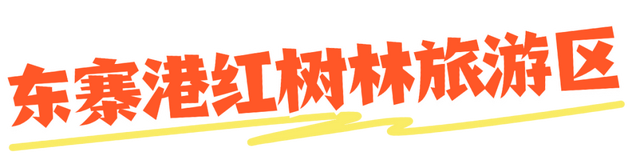 海口给长辈的舒适旅行指南