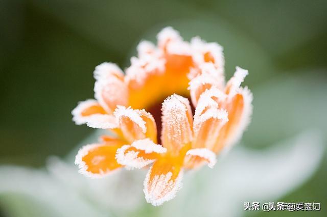 白天霜降，立冬穿袄；晚上霜降，单衣过冬，今年霜降在哪？早了解
