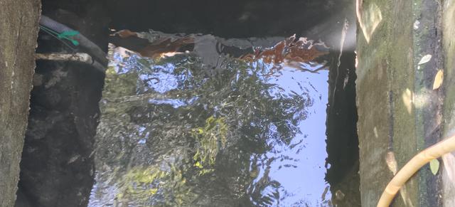 魅力济南‖柳埠名泉记