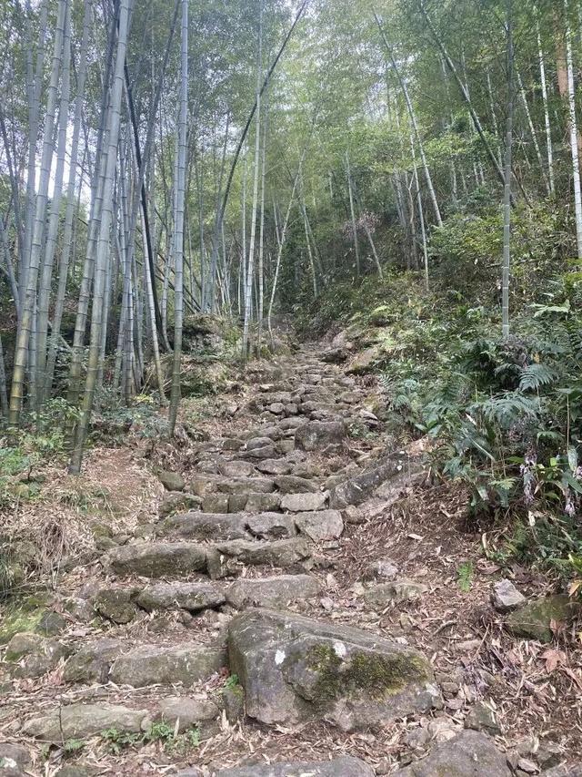 突然火了！有杭州人说，“我家四五代人都住在这里，根本就不知道......”